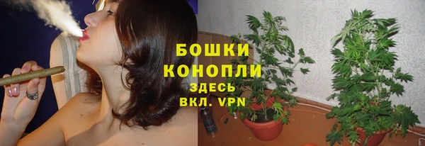 молекула духа Горнозаводск