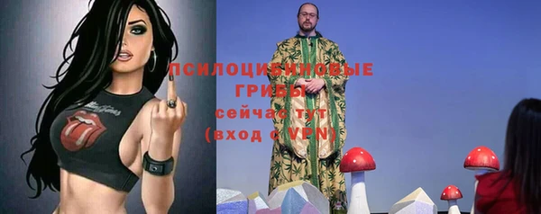 молекула духа Горнозаводск