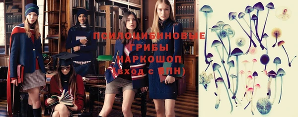 стаф Горно-Алтайск