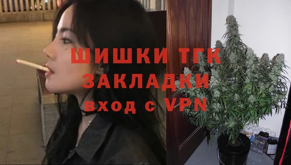 молекула духа Горнозаводск