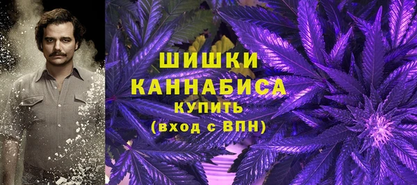 молекула духа Горнозаводск