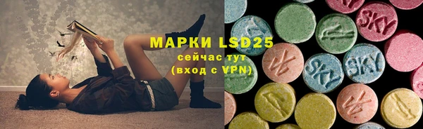 молекула духа Горнозаводск