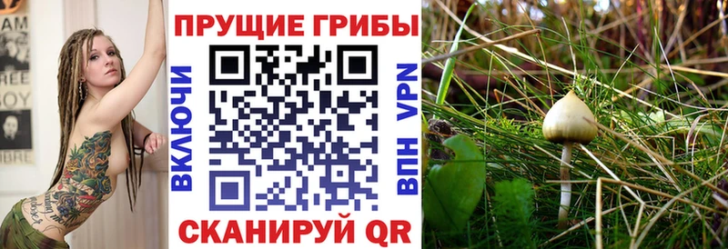 Псилоцибиновые грибы мухоморы  Якутск 